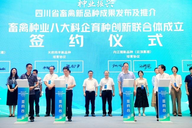 簽約儀式現(xiàn)場(chǎng)。主辦方供圖
