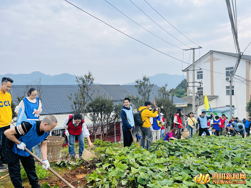 游客體驗(yàn)采摘樂趣_副本.jpg