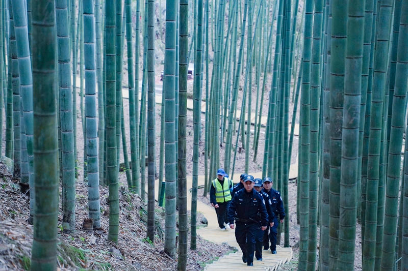 達州“巴山生態(tài)義警隊”在大竹縣五峰山森林公園巡邏.jpg